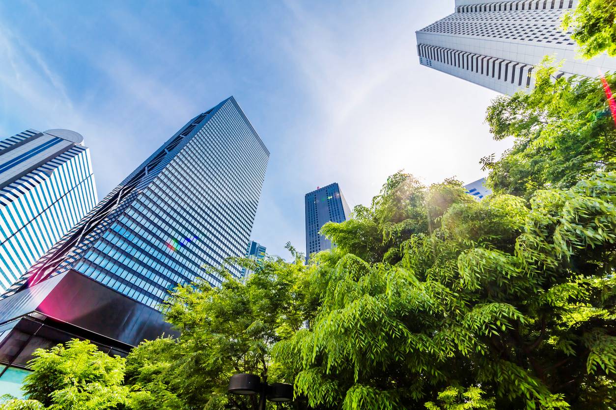 Growing business, growing city! A photo the ground in the city looking up at trees, buildings, and the sky.